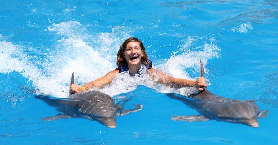 Cozumel: Dolphin Royal Connection and Manatee Interaction - The photo problem