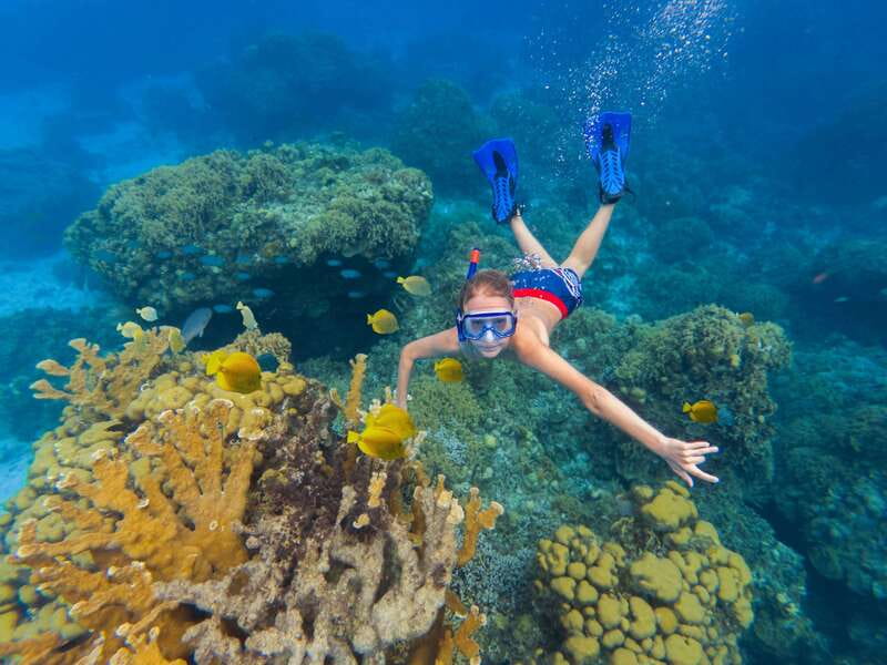 Cozumel: El Cielo, Palancar Reef, and Beach Party with Food - Palancar Reef: good marine life, busy water