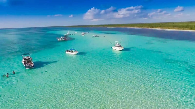 Cozumel: El Cielo & Palancar Snorkel with Open Bar & Ceviche - Quick points to know