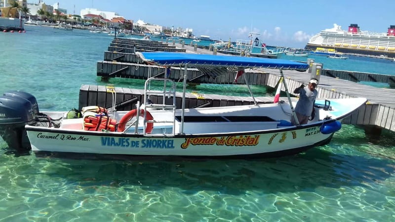 Cozumel: El Cielo & Palancar Snorkel with Open Bar & Ceviche - Palancar Reef sets the tone