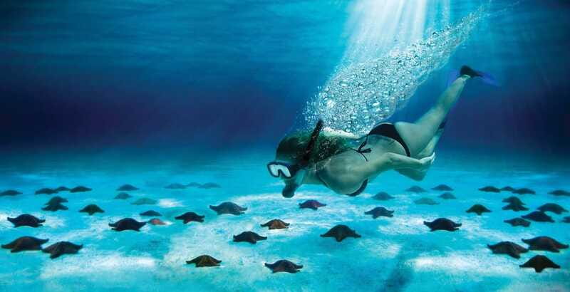 Cozumel: El Cielo & Palancar Snorkel with Open Bar & Ceviche - Who will enjoy this Cozumel boat trip?