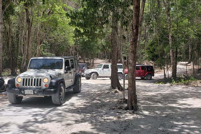 Cozumel Jeep Adventure to Jade Caverns with Lunch and Snorkel - Meeting your guide and getting onto the Jeep