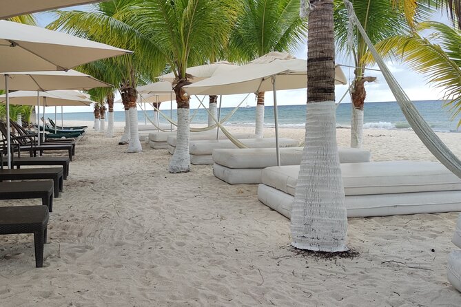 Cozumel Mayan Ruins and Beach Break - Meeting your guide near the cruise piers