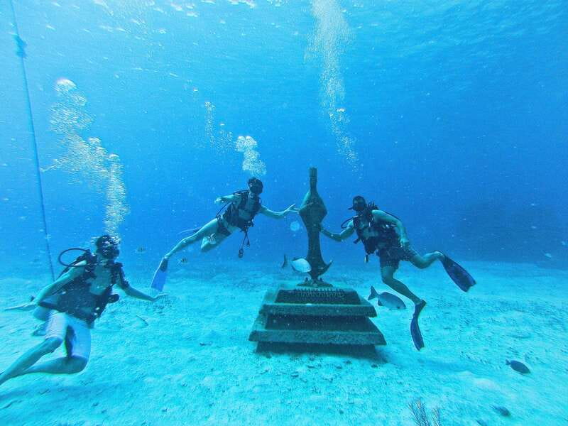 Cozumel: One Tank Scuba Dive and Full Chankanaab Park Access - Who should book this activity?
