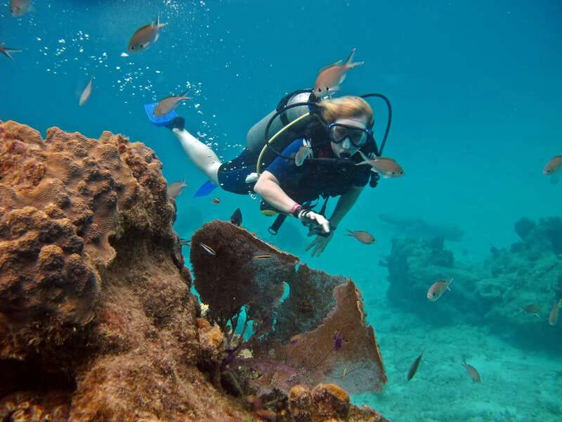 Cozumel: One Tank Scuba Dive and Full Chankanaab Park Access - What this Cozumel scuba experience really offers