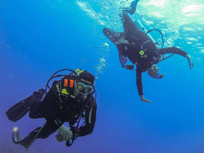 Cozumel: One Tank Scuba Dive and Full Chankanaab Park Access - Why the guides matter so much