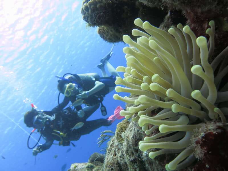 Cozumel: One Tank Scuba Dive and Full Chankanaab Park Access - The park after your scuba session