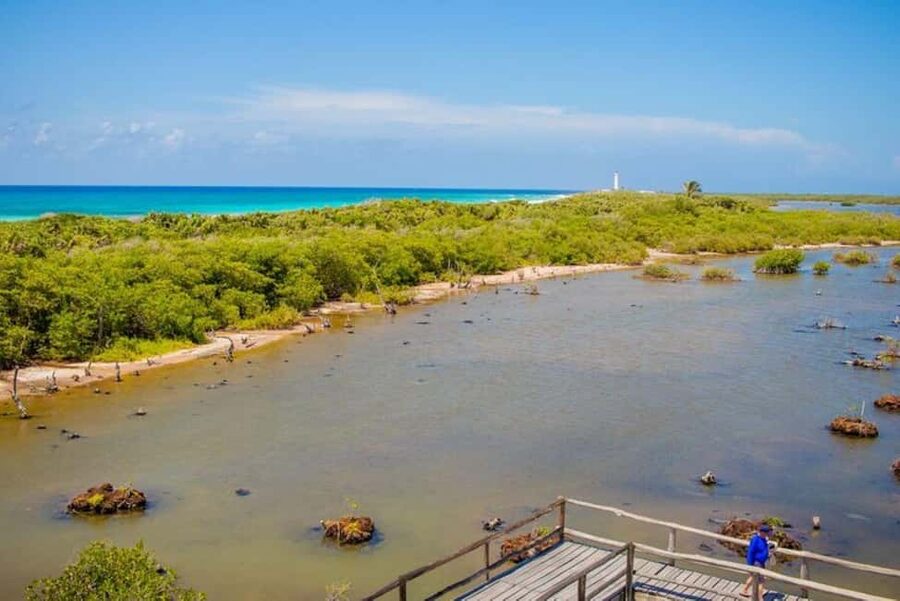 Cozumel: Private Buggy Tour to Punta Sur Park All Inclusive - A private route through Cozumel’s south
