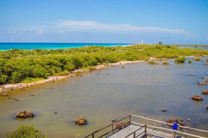 Cozumel: Private Buggy Tour to Punta Sur Park All Inclusive - Food, chocolate, and a tequila lesson