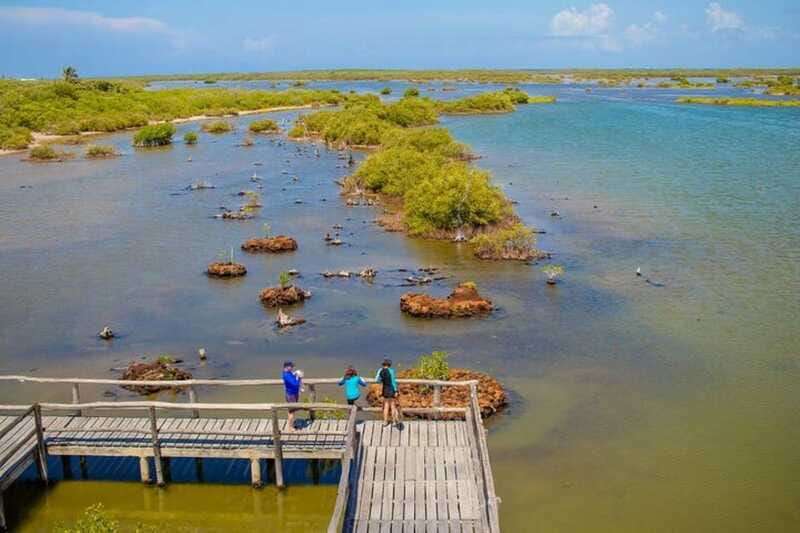 Cozumel: Private Buggy Tour to Punta Sur Park All Inclusive - Coco’s Beach Club and the water break
