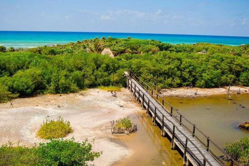 Cozumel: Private Buggy Tour to Punta Sur Park All Inclusive - Pickup points and timing that matter