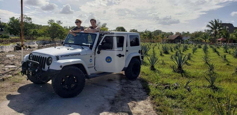 Cozumel Private Jeep Tour with Lunch and Snorkeling - Extra stops, wildlife, and island stories