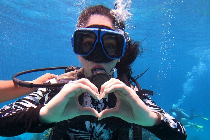 Cozumel Scuba Dive at Chankanaab - What the $85 price includes