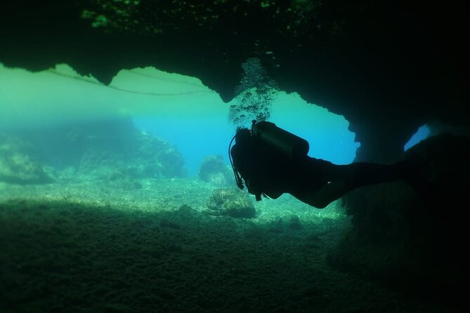 Cozumel Scuba Dive at Chankanaab - Who should book this experience