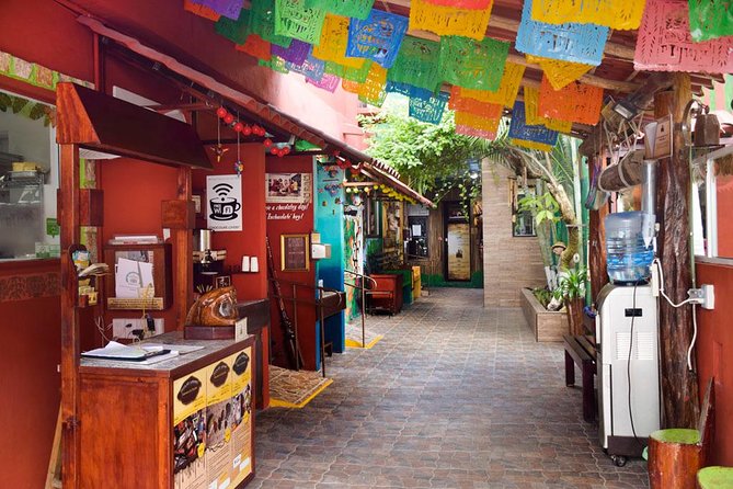 Cozumel Shore Excursion: 5-Hour Sightseeing Tour with Private Driver - Tequila at Mi Mexico Lindo