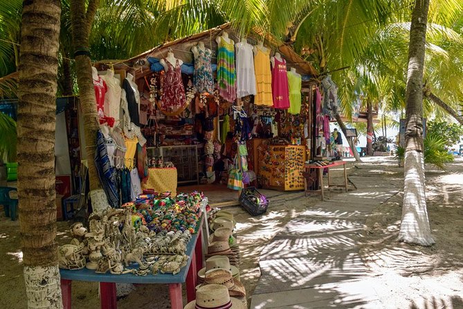 Cozumel Shore Excursion: 5-Hour Sightseeing Tour with Private Driver - San Gervasio, Cozumel’s key Maya site