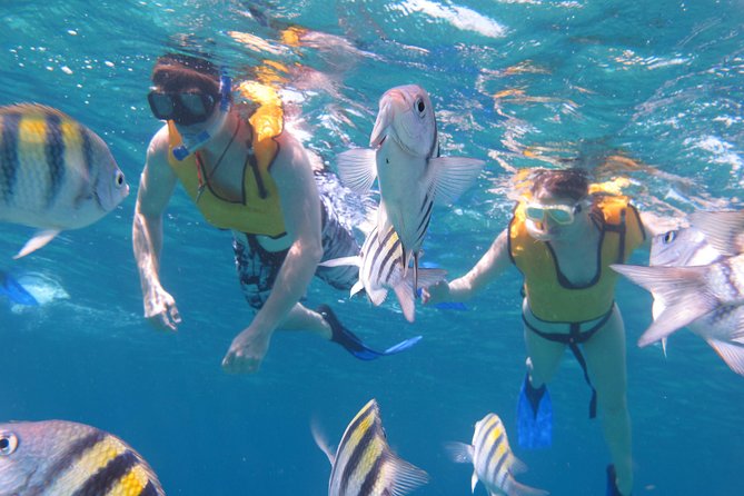 Cozumel Shore Excursion: Playa Uvas Private Beach Pass - Is the $48 price good value?