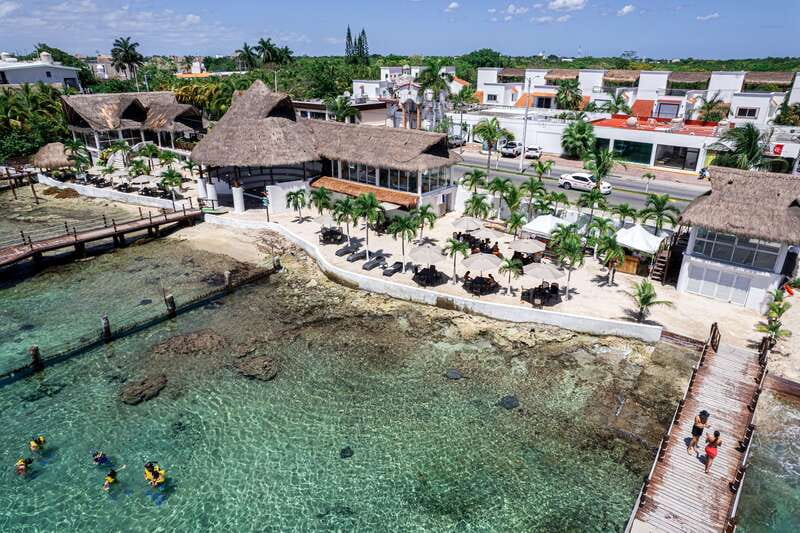 Cozumel: Snorkel and Swim with Stingrays - Seeing the 800-coral reef installation
