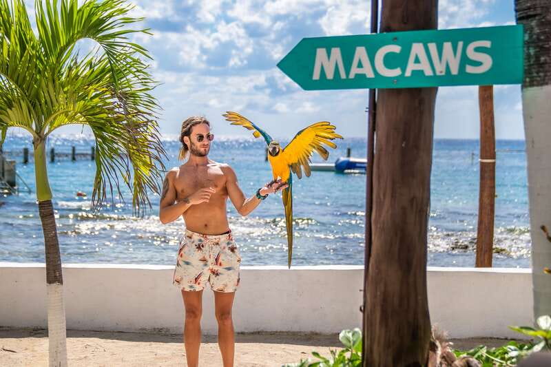 Cozumel: Snorkel and Swim with Stingrays - What else you can do at the beach club
