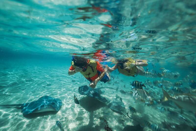 Cozumel: Snorkel and Swim with Stingrays - The 30-minute snorkel with fish and rays