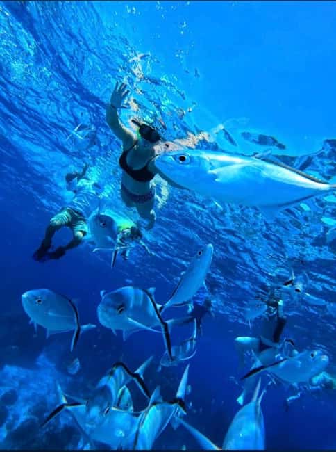 Cozumel: snorkeling on reefs + visit to "El Cielo" - Three Stops That Show Off Cozumel’s Coast
