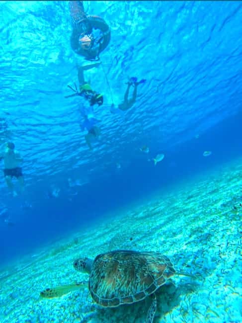 Cozumel: snorkeling on reefs + visit to "El Cielo" - El Cielo: Shallow Water, Starfish, and a Long Break