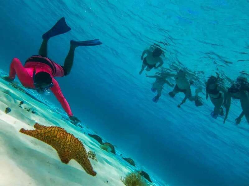 Cozumel: snorkeling on reefs + visit to "El Cielo" - Who Will Enjoy This Cozumel Snorkel Trip