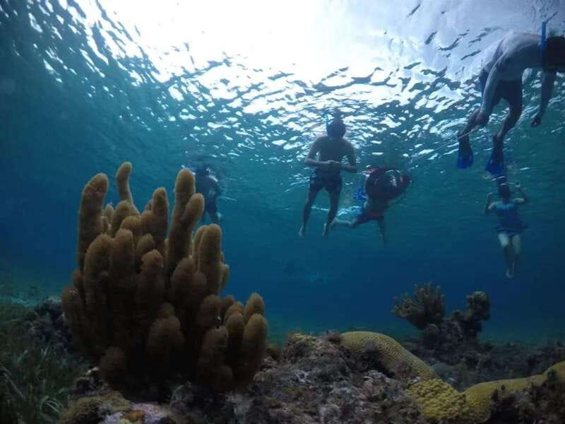 Cozumel: snorkeling on reefs + visit to "El Cielo" - Booking, Cancellation, and Check-In Tips