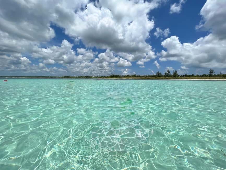 Cozumel: snorkeling on reefs + visit to "El Cielo" - Should You Book This Tour?