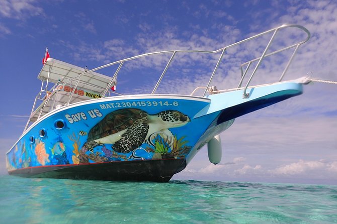Cozumel Snorkeling Tour at Palancar & Colombia Reefs and El Cielo - Palancar Reef offers the most traditional reef scenery
