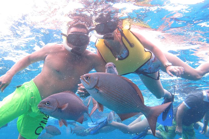 Cozumel Snorkeling Tour at Palancar & Colombia Reefs and El Cielo - What to bring and what to leave behind