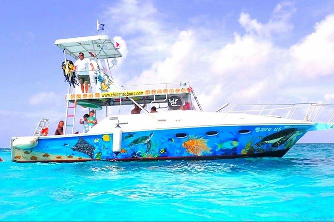 Cozumel Snorkeling Tour at Palancar & Colombia Reefs and El Cielo - Colombia Reef brings the strongest mix of sea life