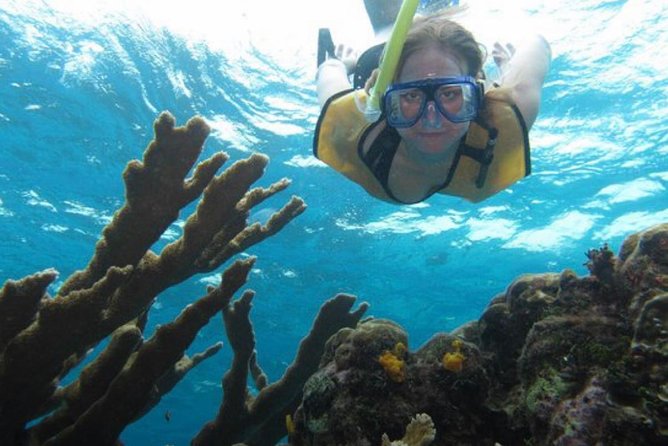 Cozumel Snorkeling Tour: Palancar, Columbia and El Cielo Reefs - Why Cozumel’s reef trip works well in half a day