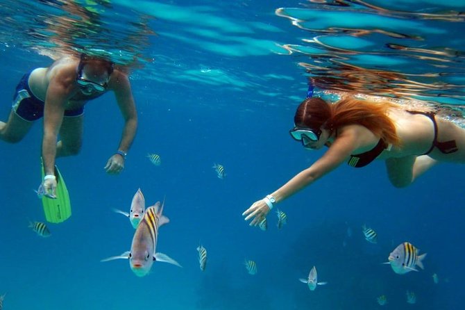 Cozumel Snorkeling Tour: Palancar, Columbia and El Cielo Reefs - What the tour is worth for the money