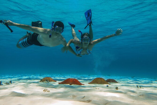 Cozumel Snorkeling Tour: Palancar, Columbia and El Cielo Reefs - Starting at Marina Cozumel ASIPONA
