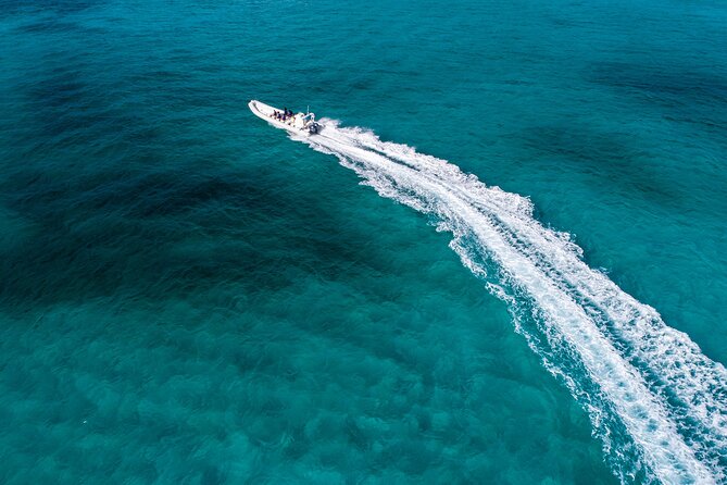 Cozumel Starfish and Tropical Reef Snorkeling by Powerboat with Lunch - What Happens Once You Reach Cozumel
