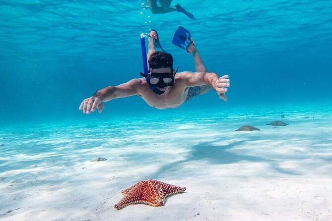 Cozumel Starfish and Tropical Reef Snorkeling by Powerboat with Lunch - The Ride From Cancun to Cozumel Takes Planning