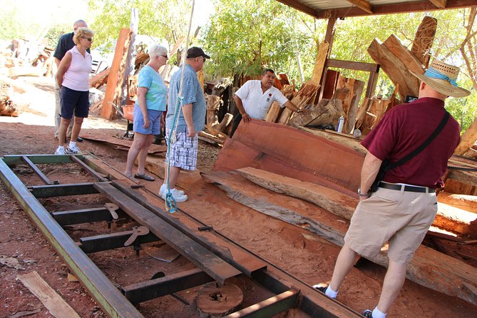 Cultural & Ecology, Nature & History of the hidden towns of Southern Baja! - Los Barriles, lunch, and the final stretch