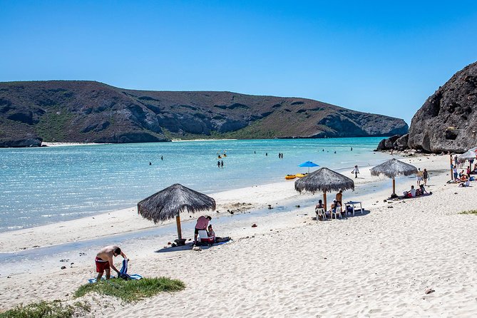 Day Trip to La Paz & Balandra Beach from Cabo San Lucas - Is this the right Baja day trip from Cabo?