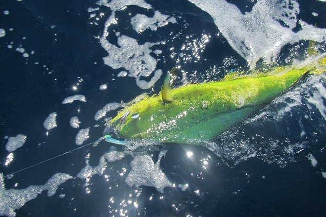Deep Sea Fishing for 5 Hours from Cabo San Lucas - What is included, and what will cost extra