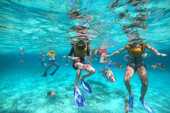 Deluxe Catamaran to Isla Mujeres with Open Bar from Cancun - One and a half hours on Isla Mujeres