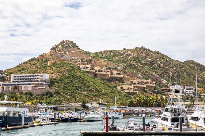 Dinner Cruise Tour in Cabo San Lucas with Tequila Tasting - Why the party-cruise warning matters