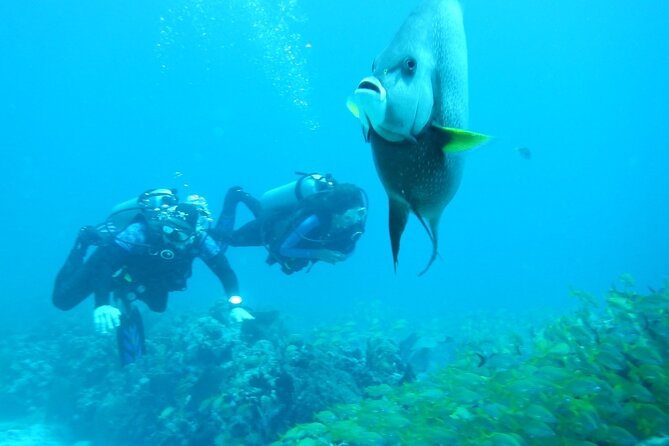 Discover Scuba - The instructors are the real key