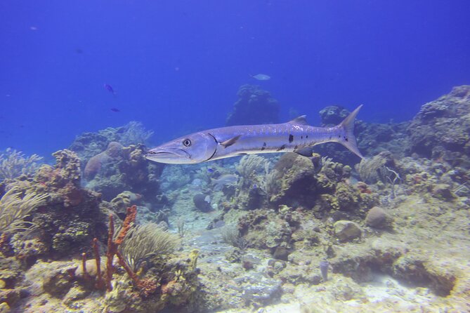 Discover Scuba - Health, fitness, and flight timing