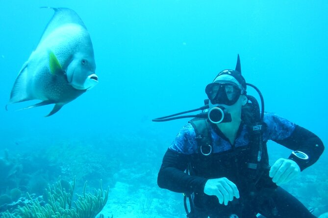 Discover Scuba - Who should book this experience?