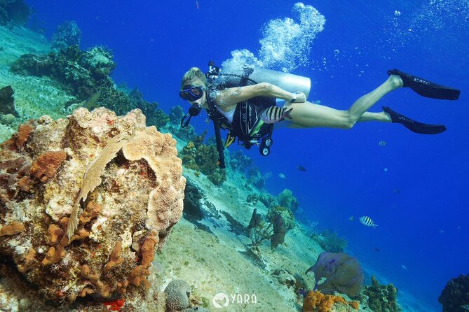 Discover Scuba Diving - What happens after the underwater session