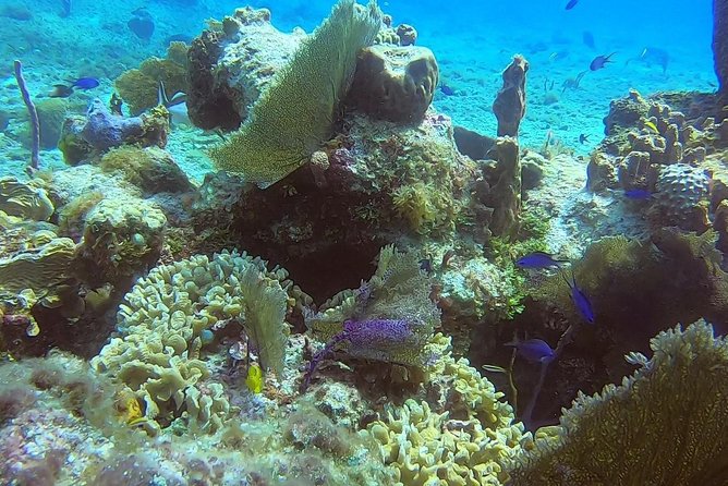Discover Scuba Diving - The instructors and the human side