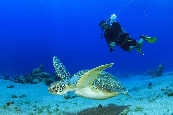 Discover Scuba Diving & Beach Club with Transportation In Riviera Maya - A short route from hotel lobby to Caribbean water