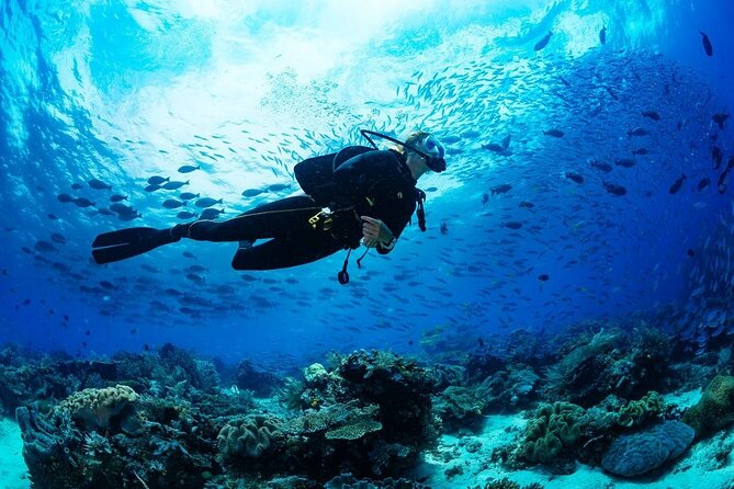 Discover Scuba Diving & Beach Club with Transportation In Riviera Maya - Timing, cancellation, and what to bring