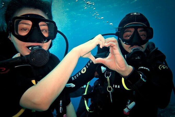 Discover Scuba Diving in Cozumel Paradise Reef - Starting at Marina Fonatur